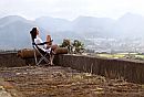 Pico do Refugio